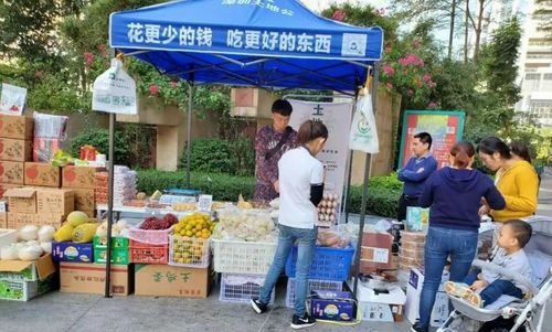 社區(qū)團(tuán)購競爭回歸理性